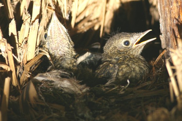 딱씨네 가족